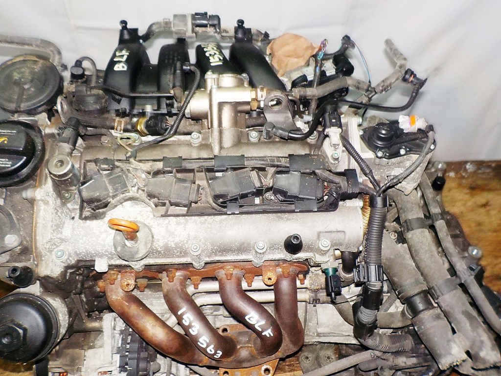 Двигатель Volkswagen BLF - 153563 AT FF коса+комп 2